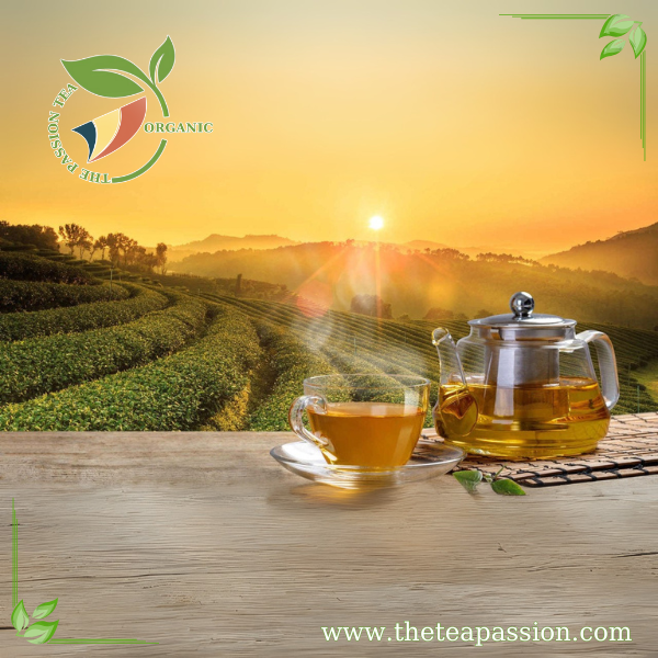 Black Tea OEM and Sustainable Production Practices