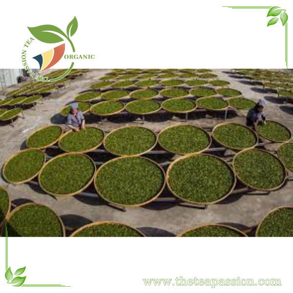 Looking for a Bulk Tea Supplier? We Handle 20ft & 40ft Container Orders