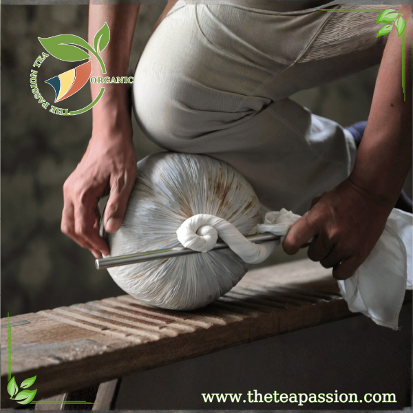 Our Quest for the Perfect Tea: From Soil to Sip