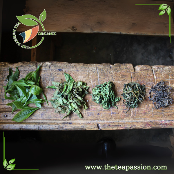 How to Develop Unique Tea Flavors with OEM Partners