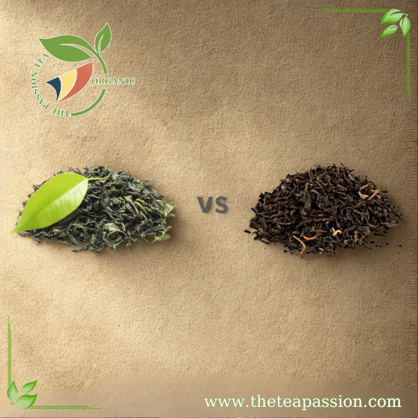 Black Tea vs Green Tea: Which One is Right for You?