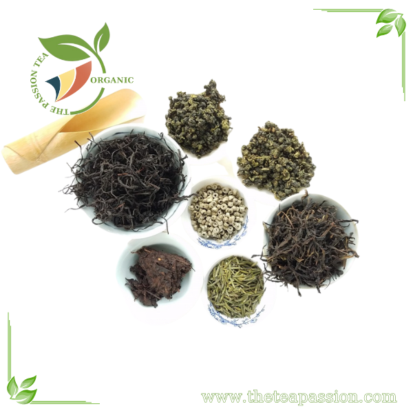 Black Tea vs Green Tea: Which One is Right for You?