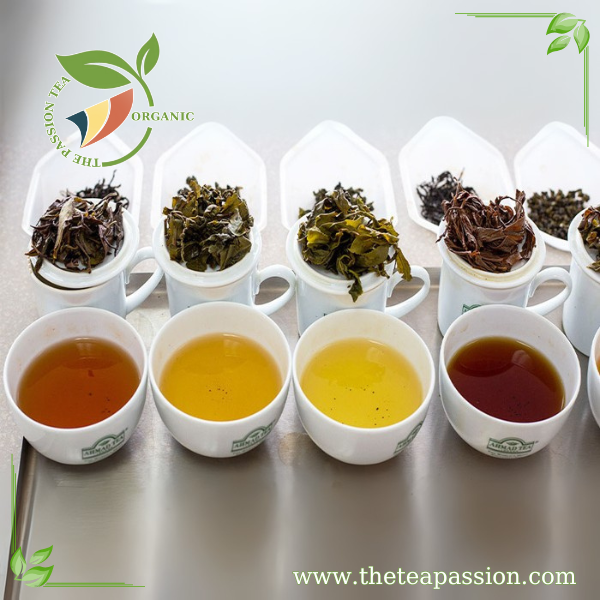 Exploring the Different Varieties of Green Tea