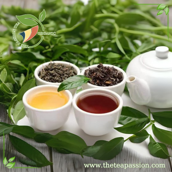 How to Choose the Best Tea Leaves for Your Brew