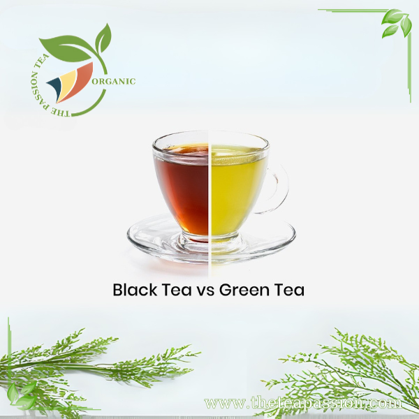 The Benefits of Drinking Green Tea on an Empty Stomach