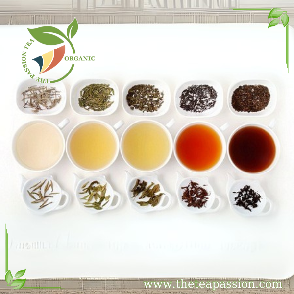 The Benefits of Drinking Green Tea on an Empty Stomach