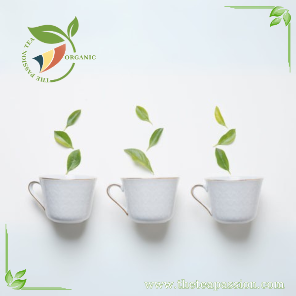 Green Tea: A Journey Through Its Health Benefits